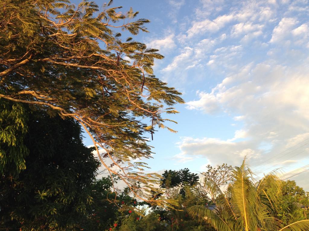 Vaiala Beach Cottages 阿皮亚 外观 照片